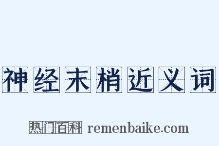 神经末梢近义词是什么意思的图片